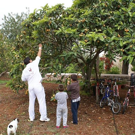 Agroturismo Can Gall Otel Sant Joan De Labritja Dış mekan fotoğraf
