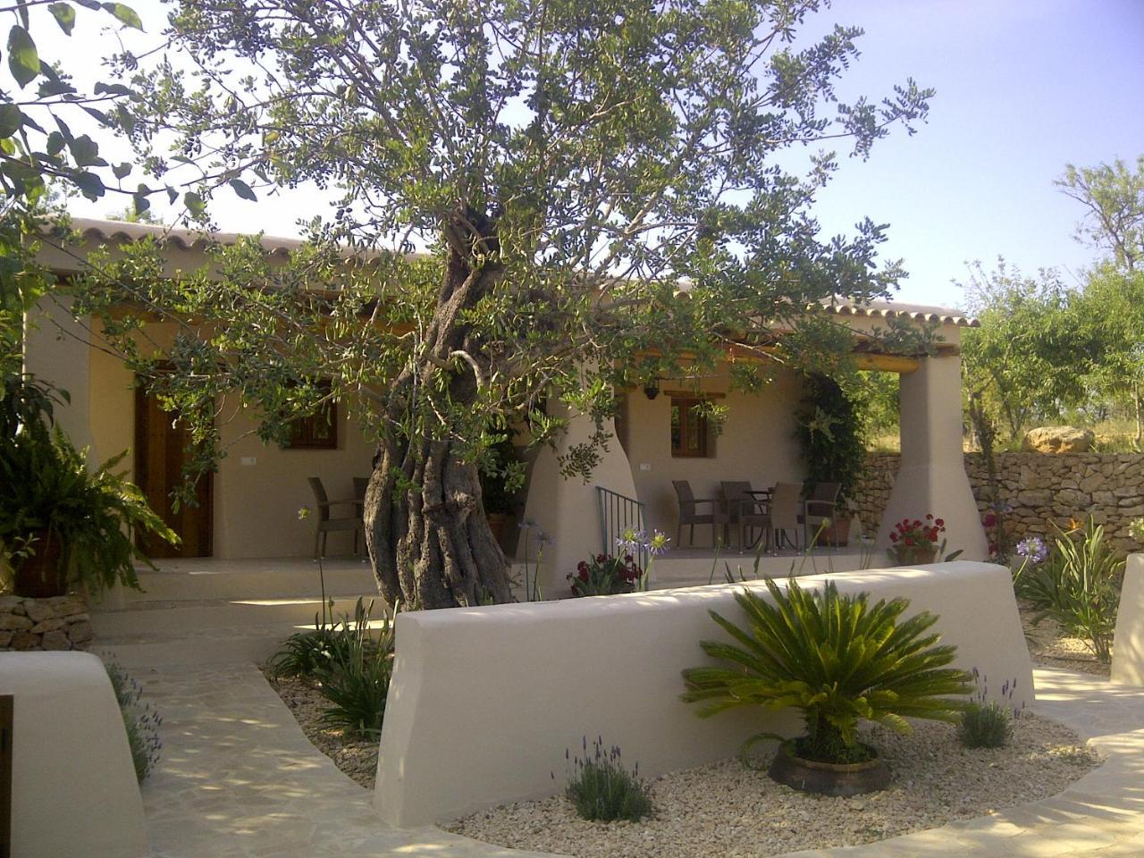 Agroturismo Can Gall Otel Sant Joan De Labritja Dış mekan fotoğraf