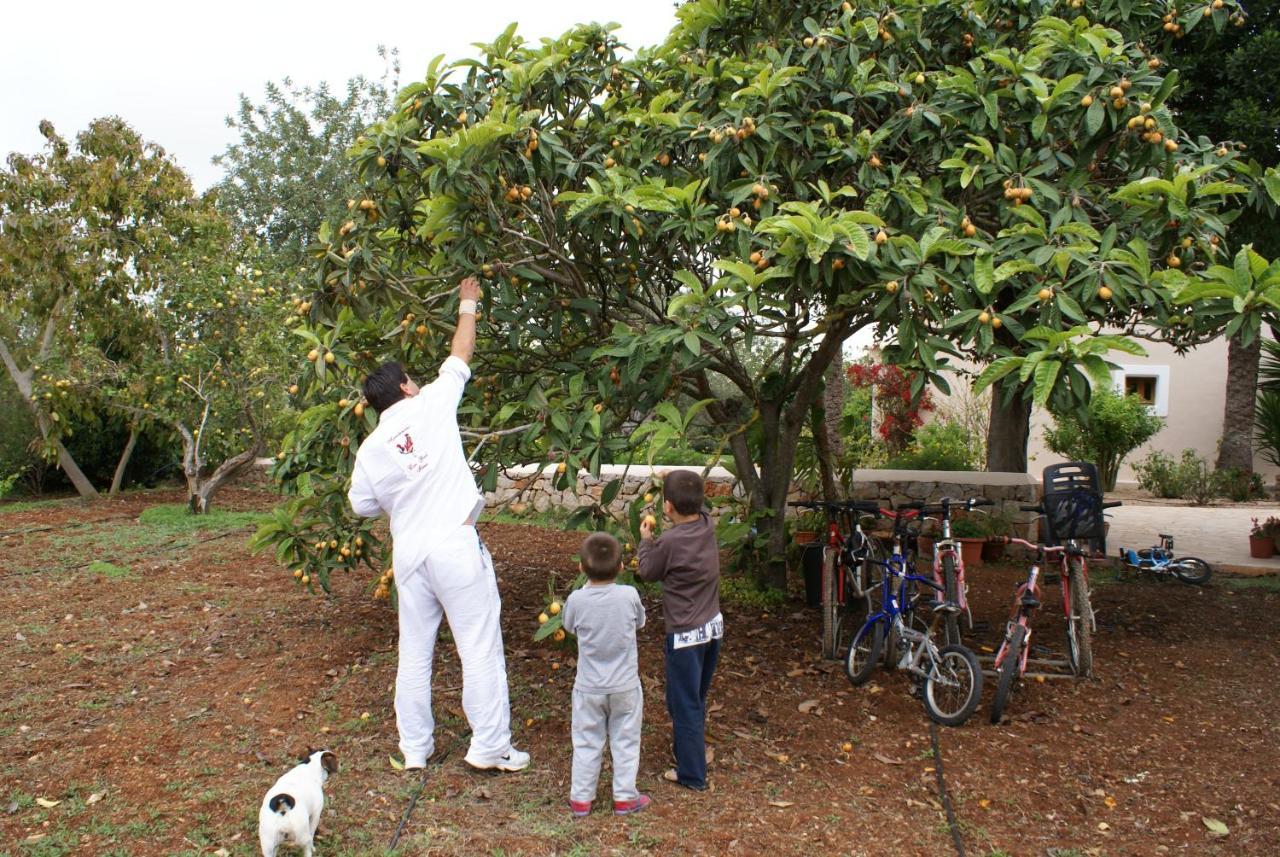 Agroturismo Can Gall Otel Sant Joan De Labritja Dış mekan fotoğraf